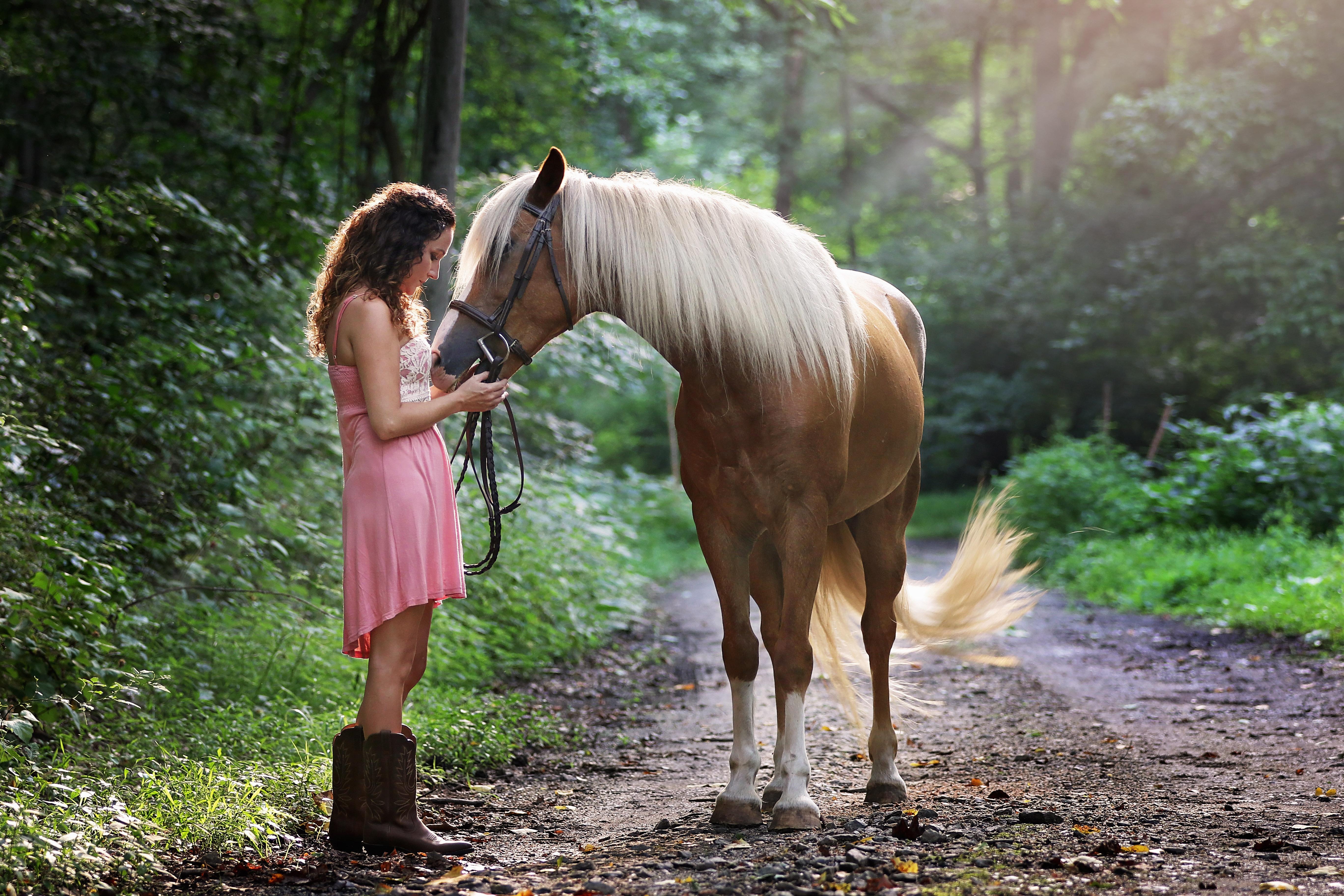 Bli vän med en häst